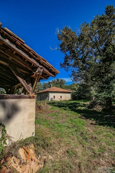L'airial de Pélanne à Laluque