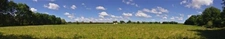 Terrain agricole plat d'un seul tenant de 11,93 hectares 