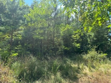 Terrain à vendre de 44600 m²  RION DES LANDES (40)
