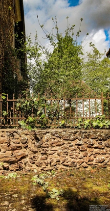 Le domaine de Loustau à Bonnut