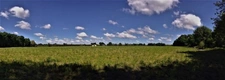 Terrain agricole plat d'un seul tenant de 11,93 hectares 