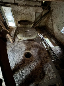 Moulin 7 pièces avec chênaie d'environ 6 hectares