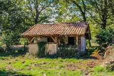 L'airial de Pélanne à Laluque
