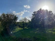 Terrain de 2500m2 constructible centre bourg