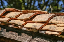 L'airial de Pélanne à Laluque