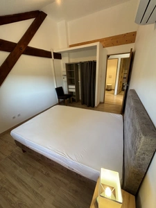 Propriété à vendre 14 pièces Saint jean de Marsacq (40) avec salle de bal de plus de 100m2 sur terrain de plus de 4 hectares