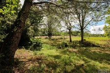Le domaine de Loustau à Bonnut