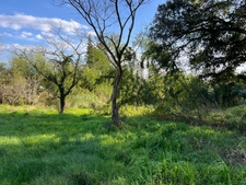 Terrain de 2500m2 constructible centre bourg