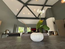 Maison contemporaine à vendre 6 pièces MEES (40) sur terrain de 2000m