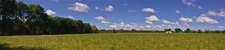 Terrain agricole plat d'un seul tenant de 11,93 hectares 