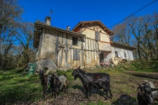 Moulin 7 pièces avec chênaie d'environ 6 hectares