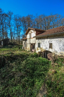 Moulin 7 pièces avec chênaie d'environ 6 hectares