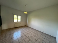 Maison à vendre 5 pièces BENESSE LES DAX (40) et son jardin