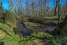 Moulin 7 pièces avec chênaie d'environ 6 hectares