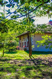 L'airial de Pélanne à Laluque
