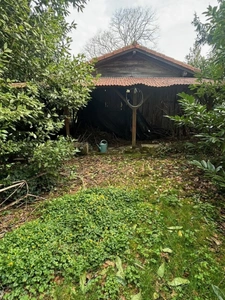 Maison à vendre 7 pièces TERCIS LES BAINS (40), avec deux terrains détachables 