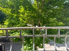 VICHY – Quartier République – Appartement de caractère 80 m² avec garage et caves dans maison Art déco