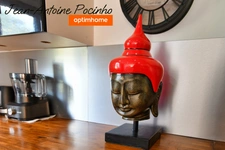 PROPRIETE 535 m² SAIGUÈDE
