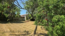 Corps de ferme à vendre 6 pièces  (65)