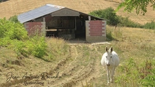 Maison de campagne à vendre 9 pièces  (31)