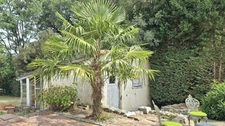 Maison à vendre 4 pièces SAINT LYS (31)