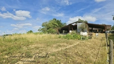 Maison de campagne à vendre 9 pièces  (31)