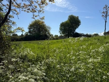 PERIGUEUX Terrain à vendre  COULOUNIEIX CHAMIERS (24)