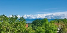74550 - PERRIGNIER - MAISON MITOYENNE 145 M² -  2 GRANGES - 1 CELLIER - 1 CAVE -