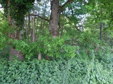 Terrain à vendre de 405,00 m² COURTEMAUX (45)