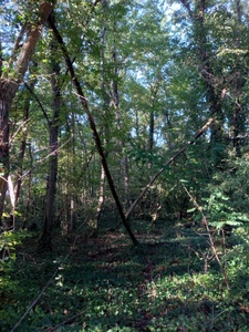 Terrain à vendre de 2 820,00 m² NEMOURS (77)