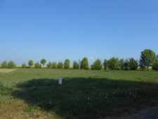 Un environnement naturel campagnard à La Selle-Sur-Le-Bied 45210, à 2,5 km