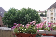 Appartement à vendre 2 pièces LONGJUMEAU (91)