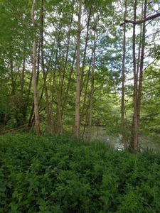 Terrain à vendre de 405,00 m² COURTEMAUX (45)
