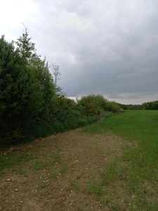 Terrain à vendre de 2 924,00 m² Proche de COURTEMAUX (45)