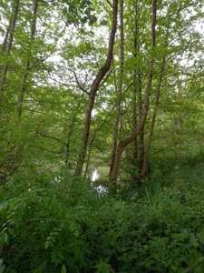 Terrain à vendre de 405,00 m² COURTEMAUX (45)