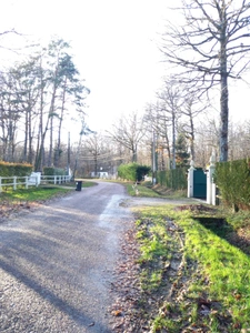 Terrain à vendre de 2 370,00 m² SAINT HILAIRE LES ANDRESIS (45)