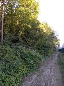 Terrain à vendre de 2 820,00 m² NEMOURS (77)