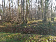 Terrain à vendre de 2 370,00 m² SAINT HILAIRE LES ANDRESIS (45)