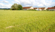 Terrain à vendre de 1 148,00 m² LA SELLE SUR LE BIED (45)