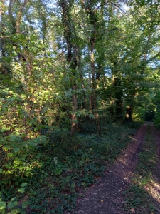 Terrain à vendre de 2 820,00 m² NEMOURS (77)