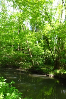 Terrain à vendre de 625,00 m² Proche de COURTEMAUX (45)