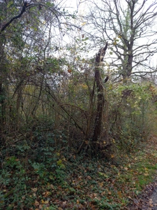 Terrain de Loisir à vendre de 230,95 m² FERICY (77)