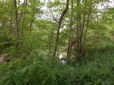 Terrain à vendre de 405,00 m² COURTEMAUX (45)