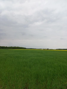 Terrain à vendre de 2 924,00 m² Proche de COURTEMAUX (45)