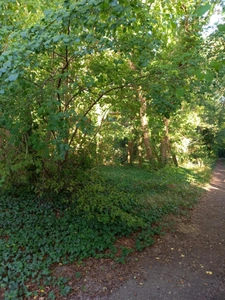 Terrain à vendre de 2 820,00 m² NEMOURS (77)