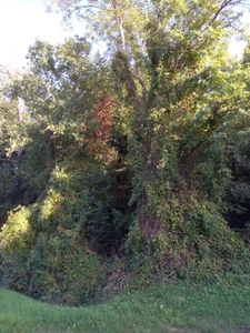 Terrain à vendre de 2 820,00 m² NEMOURS (77)