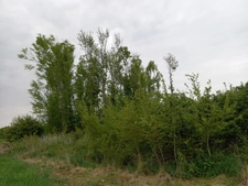 Terrain à vendre de 2 924,00 m² Proche de COURTEMAUX (45)
