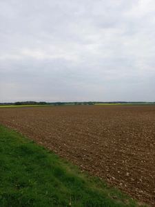 Terrain à vendre de 2 924,00 m² Proche de COURTEMAUX (45)