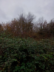 Terrain de Loisir à vendre de 230,95 m² FERICY (77)