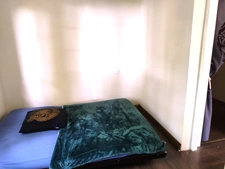 Maison à vendre 3 pièces NARGIS (45) sur terrain arboré sans vis-àvis.